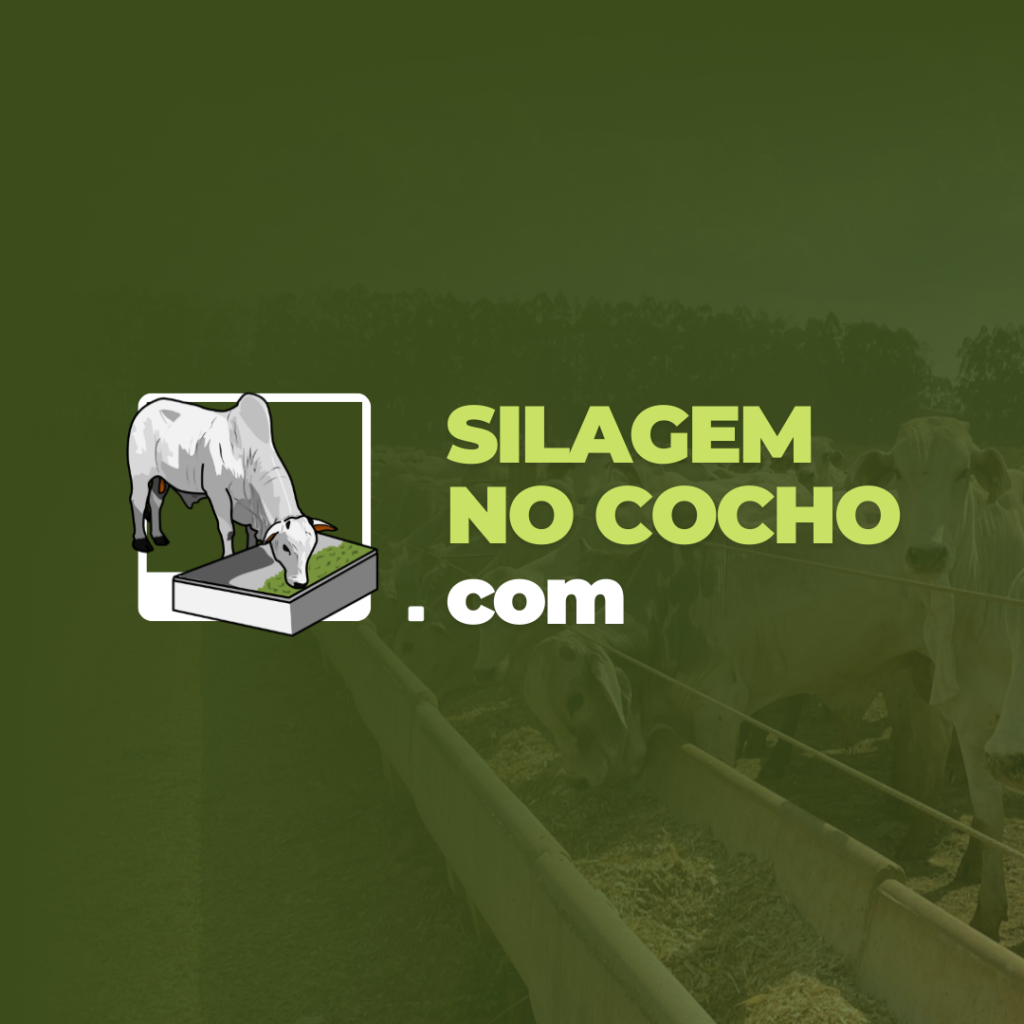 Uso de silagem em dietas