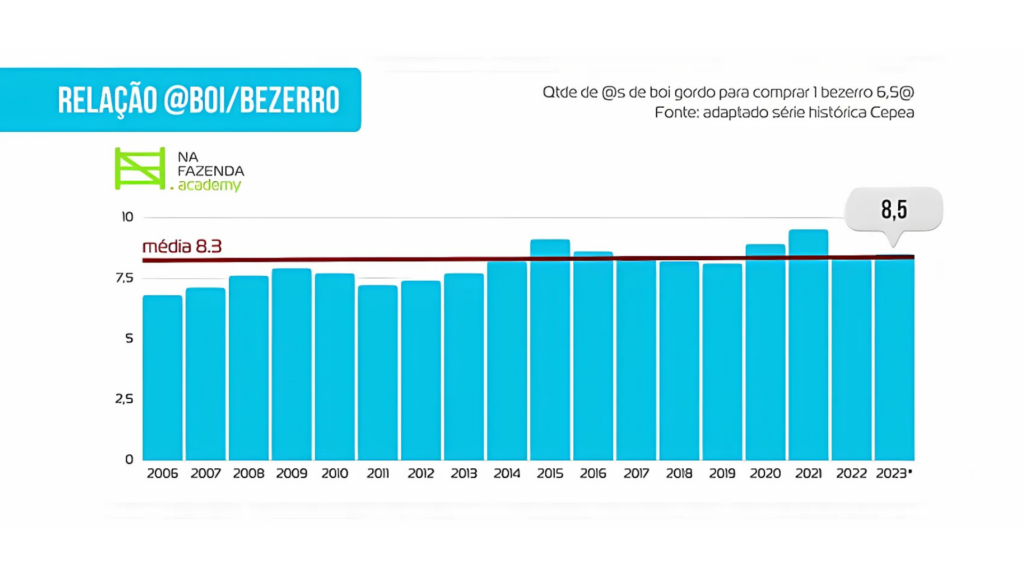 Quantidade de @s de Boi Gordo para comprar 1 bezerro de 6,5@s