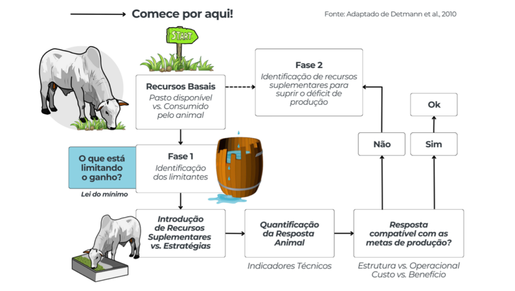 supolementacao