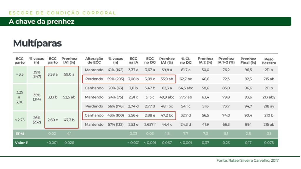 Efeito do ECC ao parto na prenhez das vacas