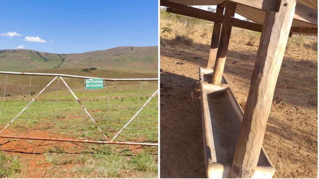 Fazenda precisando de cuidados