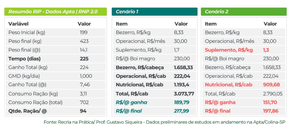 RIP vale a pena?