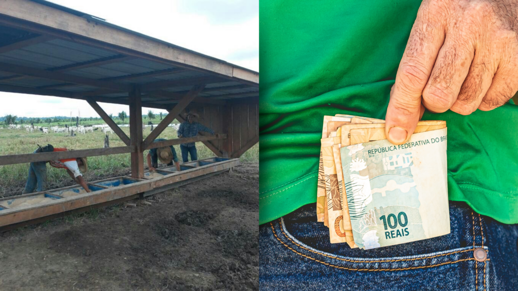 Tecnologia de insumos